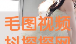 毛视频,揭秘短视频时代的魅力与挑战