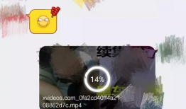 黄色网络视频,黄色视频的传播与危害