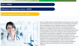 rosi视频官网,解锁视觉盛宴的无限可能