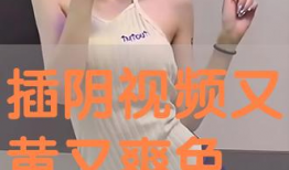 插阴视频,揭秘阴视频背后的真相与警示