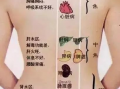 背部刮痧手法视频,轻松掌握健康养生之道
