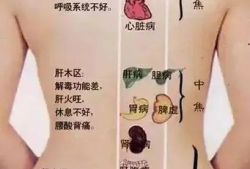 背部刮痧手法视频,轻松掌握健康养生之道