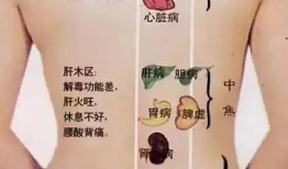 背部刮痧手法视频,轻松掌握健康养生之道