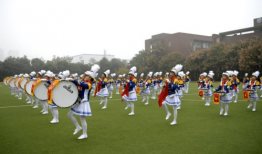 鼓号队表演视频,号角嘹亮——鼓号队表演风采展示