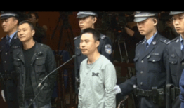 日本在线成人视频,尺度与文化的双重解读