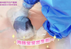 水中生孩子视频,见证生命诞生的独特瞬间