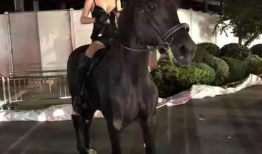 美女骑马视频,美女骑马视频惊艳亮相